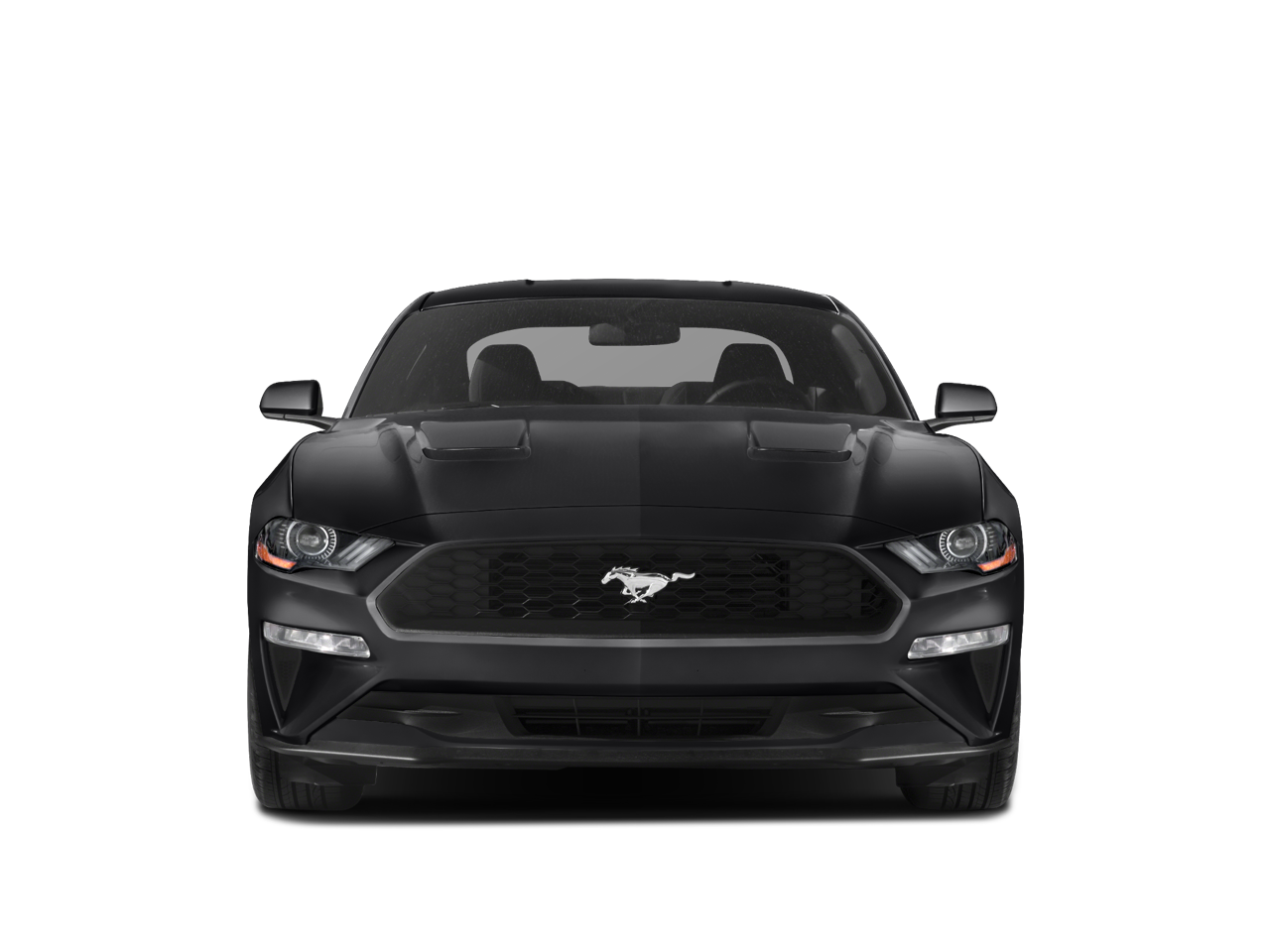 2020 Ford Mustang EcoBoost /LOW MILES